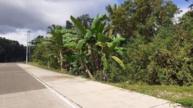 Land for sale in Bingag, Bohol