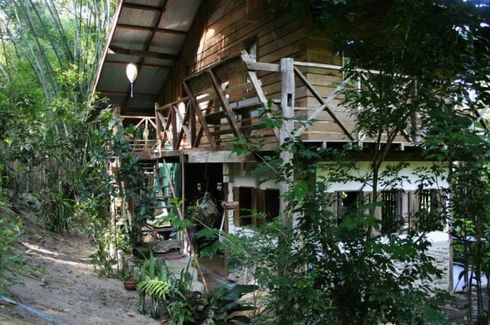 Jungle Hideaway Home For Sale 📌 House For Sale In Mae Hong Son | Dot  Property