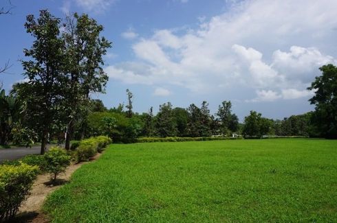 Land for sale in Rim Tai, Chiang Mai