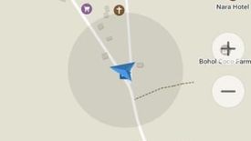 Land for sale in Danao, Bohol