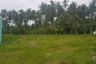 Land for sale in Liptong, Negros Oriental