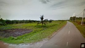 Land for sale in Bukit Rotan, Selangor