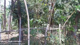 Land for sale in Poblacion, Bohol
