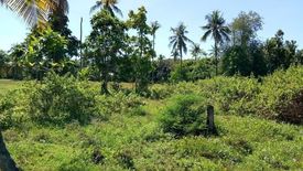 Land for sale in Valladolid, Cebu