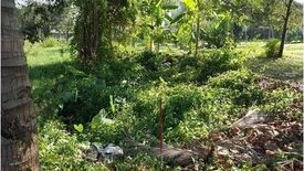 Land for sale in Fa Ham, Chiang Mai