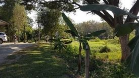 Land for sale in Fa Ham, Chiang Mai