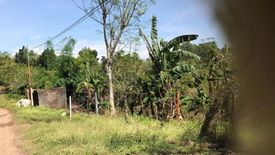 Land for sale in Alas-Asin, Bataan