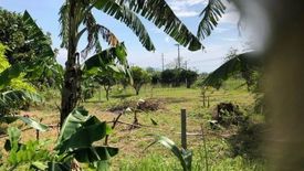 Land for sale in Alas-Asin, Bataan