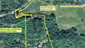 Land for sale in Utod, Batangas