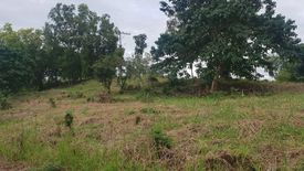 Land for sale in Dumlog, Cebu