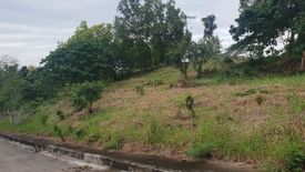 Land for sale in Dumlog, Cebu