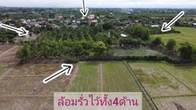 ขายที่ดิน ใน หนองแก๋ว, หางดง