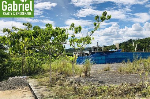 Land for sale in Tamiao, Cebu