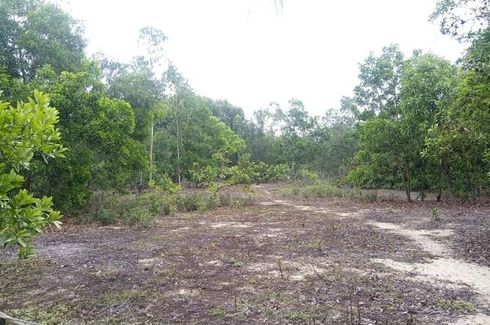 Land for sale in Binh Duong, Quang Nam