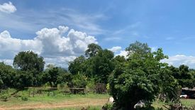 Land for sale in Huai Sai, Chiang Mai