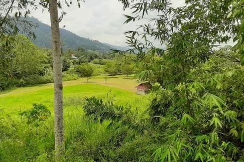 Land for sale in Kampung Janda Baik, Pahang