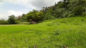 Land for sale in Kampung Janda Baik, Pahang