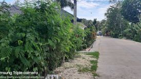 Land for sale in Ubujan, Bohol