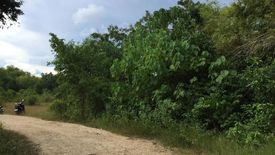 Land for sale in Dao, Bohol