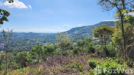 Land for sale in Bo Phut, Surat Thani