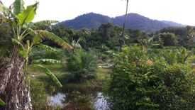 Land for sale in Pa Khlok, Phuket