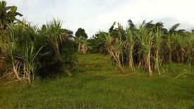 Land for sale in Pa Khlok, Phuket