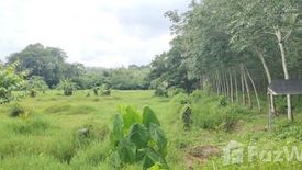 Land for sale in Thep Krasatti, Phuket