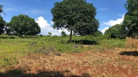 Land for sale in Liberty, Misamis Oriental