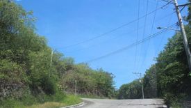 Land for sale in Jagobiao, Cebu