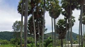 Land for sale in Karon, Phuket