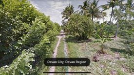 Land for sale in Santo Niño, Davao del Norte