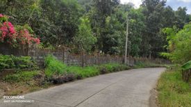 Land for sale in Anupul, Tarlac