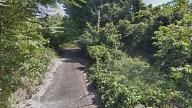 Land for sale in Bo Phut, Surat Thani