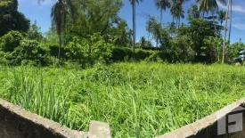 Land for sale in Pa Khlok, Phuket