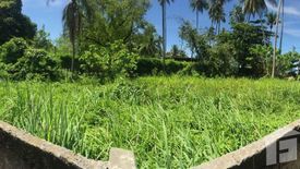 ขายที่ดิน ใน ป่าคลอก, ถลาง