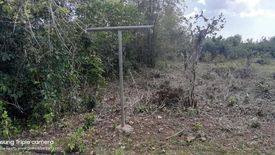 Land for sale in Danao, Bohol