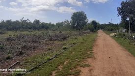 Land for sale in Danao, Bohol