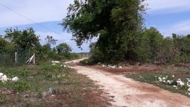Land for sale in Danao, Bohol