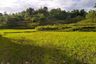 Land for sale in Tubod, Bohol