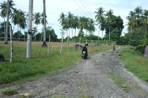 Land for sale in Talay, Negros Oriental