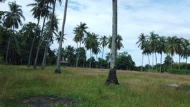 Land for sale in Talay, Negros Oriental