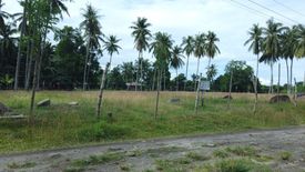 Land for sale in Talay, Negros Oriental