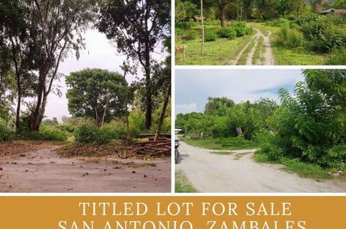 Land for sale in Angeles, Zambales