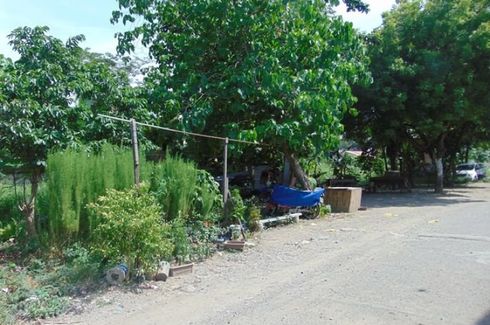 Land for rent in Talamban, Cebu