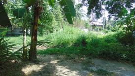Land for rent in Talamban, Cebu