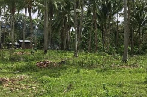 Land for sale in Lamdas, Negros Oriental