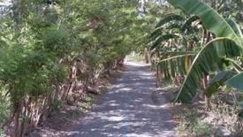 Land for sale in Santo Niño, Davao del Norte