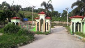 Land for sale in San Roque, Cebu