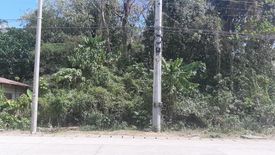 Land for sale in Tinago, Bohol