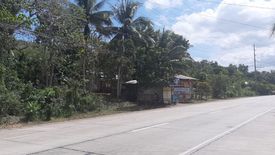 Land for sale in Tinago, Bohol